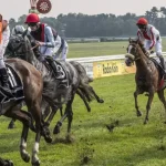 csm_Galopprennen_Koeln_Pferde_c-DTSchB_M.Marten_dc25ea2048-1024x447